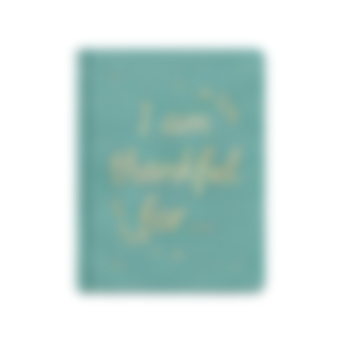 Illustrative image of a simple gratitude journal for children
