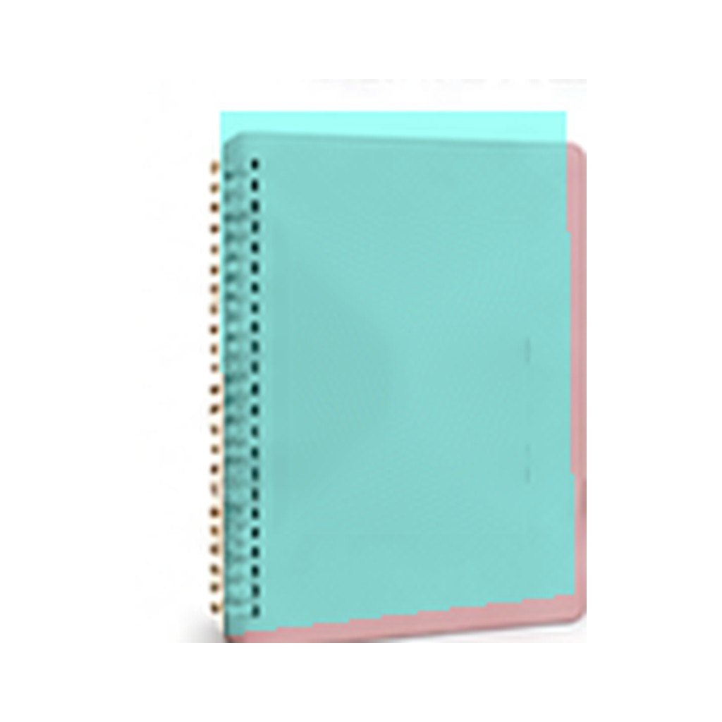 Illustrative image of a pregnancy planner